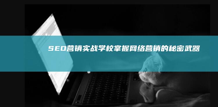 SEO营销实战学校：掌握网络营销的秘密武器